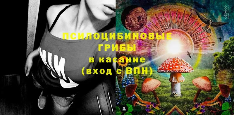 Псилоцибиновые грибы Magic Shrooms  omg ONION  Ртищево  что такое наркотик 